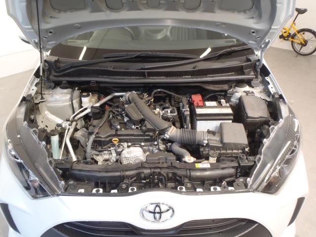 ヤリス（新潟県新発田市）