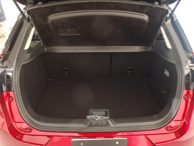 CX-3（新潟県新発田市）