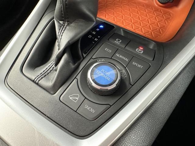 RAV4(新潟県長岡市)