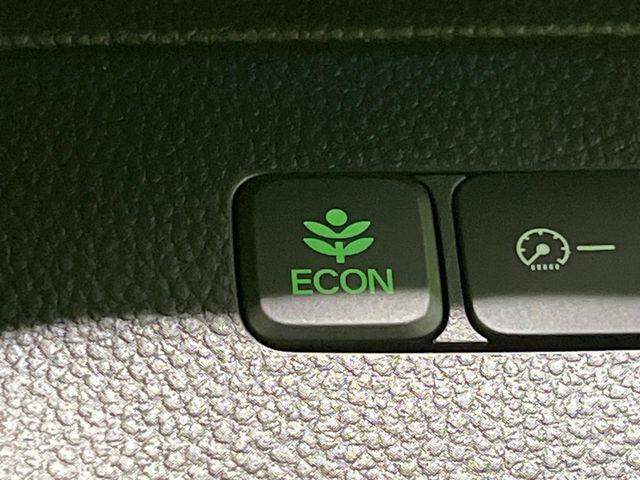 N_BOXカスタム(新潟県長岡市)