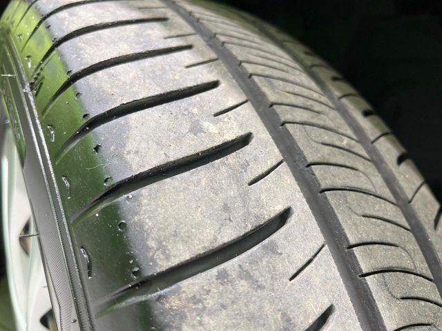 セレナ（新潟県長岡市）画像61