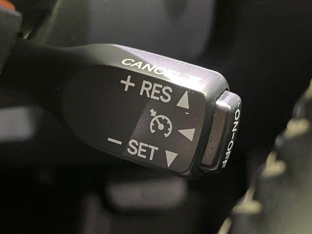 シエンタ(新潟県長岡市)