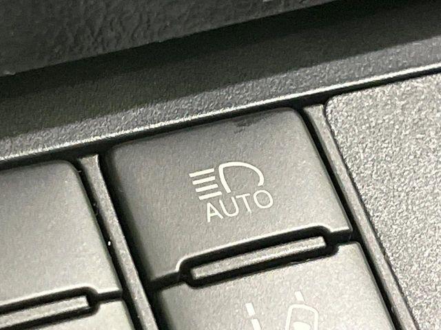 シエンタ(新潟県長岡市)