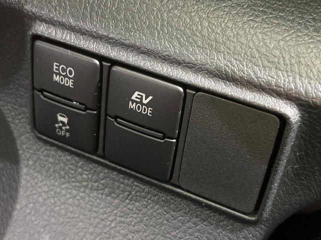 シエンタ(新潟県長岡市)