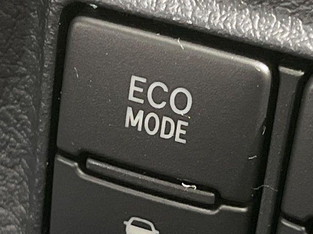 シエンタ(新潟県長岡市)