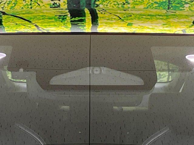 プリウス(新潟県長岡市)