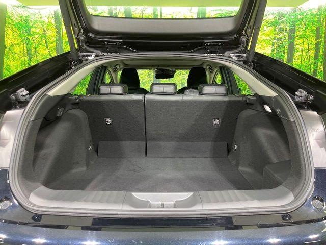 プリウス(新潟県長岡市)