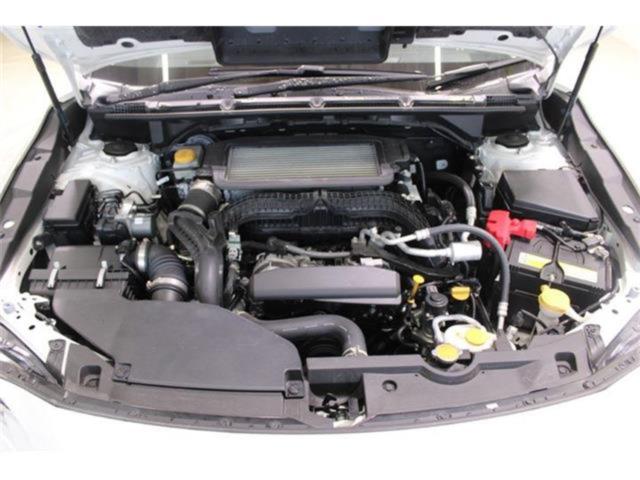 レヴォーグ(新潟県新潟市東区)