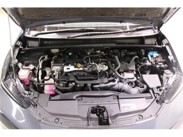 プリウス(新潟県新潟市東区)