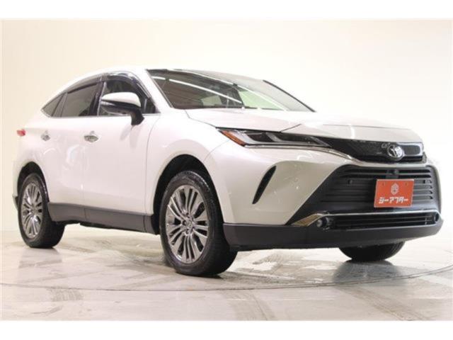 ハリアー（新潟県新潟市東区）