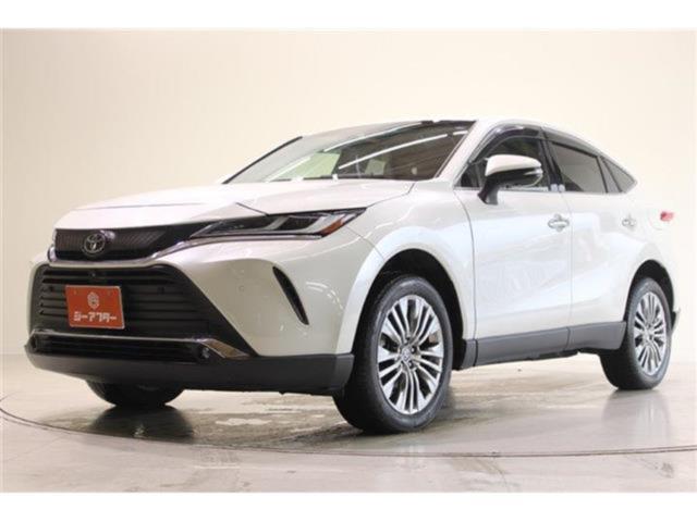 ハリアー（新潟県新潟市東区）