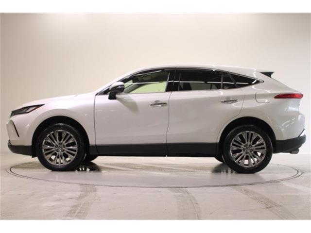 ハリアー（新潟県新潟市東区）