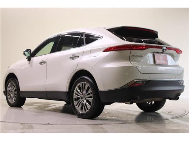 ハリアー（新潟県新潟市東区）