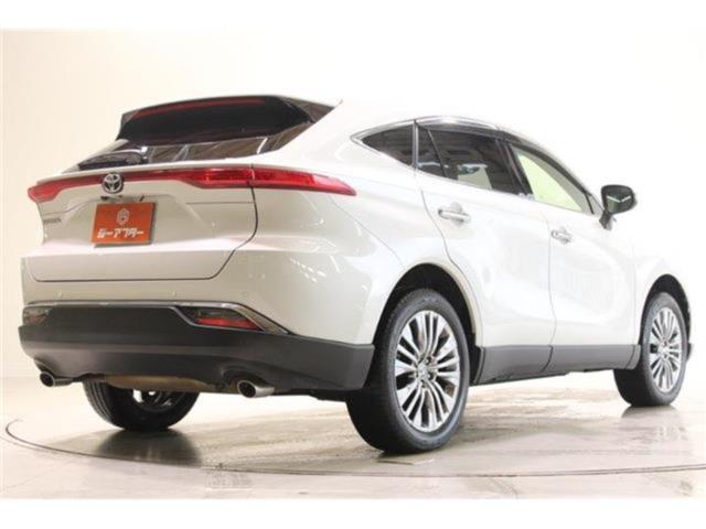 ハリアー（新潟県新潟市東区）