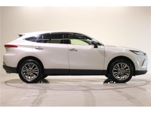 ハリアー（新潟県新潟市東区）