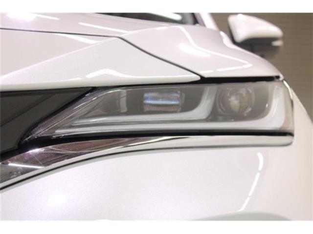 ハリアー（新潟県新潟市東区）