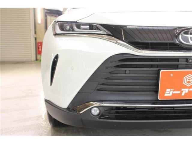 ハリアー（新潟県新潟市東区）