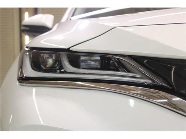 ハリアー（新潟県新潟市東区）