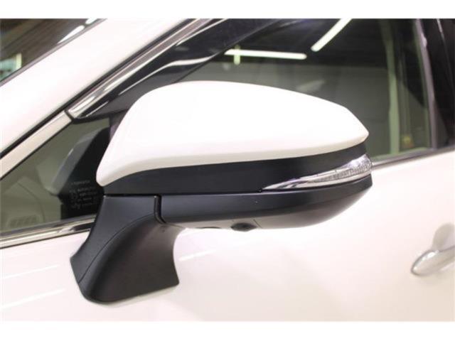 ハリアー（新潟県新潟市東区）