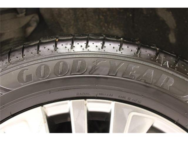 ハリアー（新潟県新潟市東区）