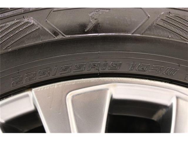 ハリアー（新潟県新潟市東区）