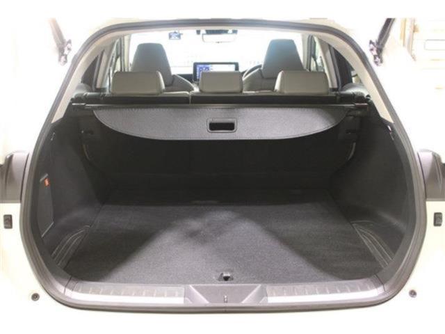 ハリアー（新潟県新潟市東区）