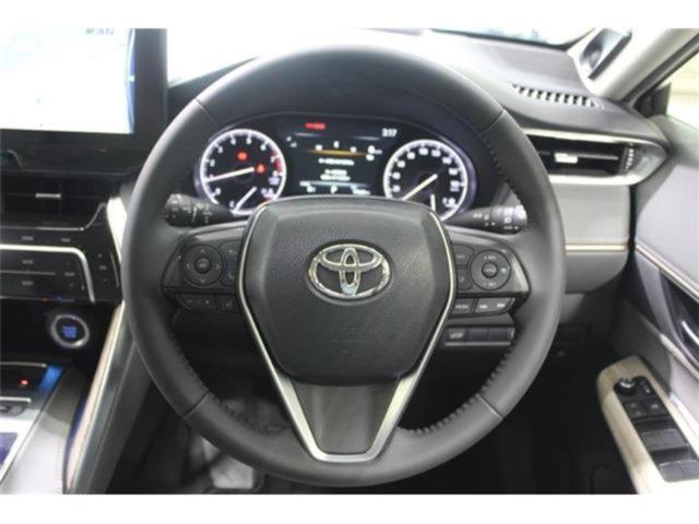 ハリアー（新潟県新潟市東区）