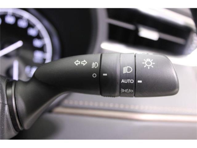 ハリアー（新潟県新潟市東区）