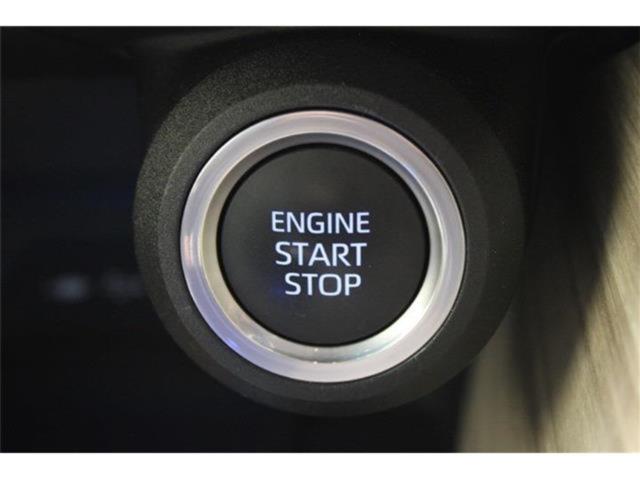 ハリアー（新潟県新潟市東区）