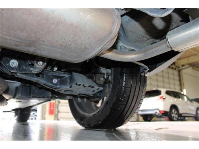 ハリアー（新潟県新潟市東区）