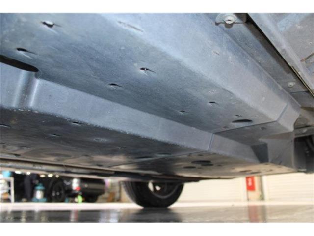 ハリアー（新潟県新潟市東区）