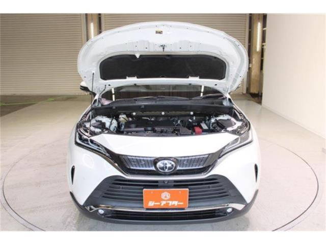 ハリアー（新潟県新潟市東区）