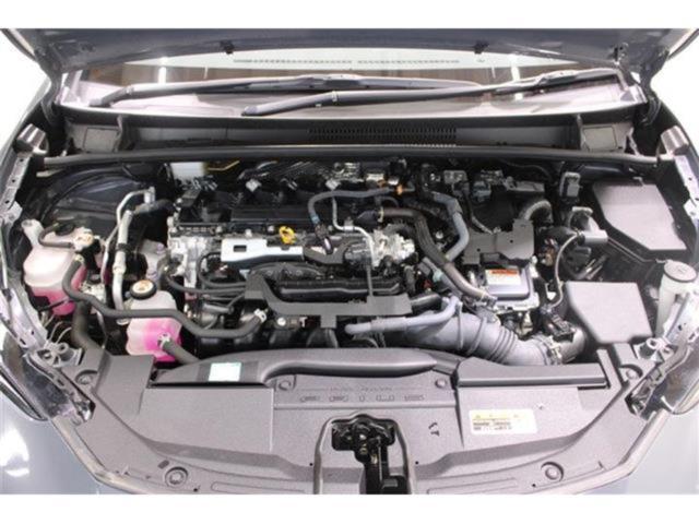 プリウス(新潟県新潟市東区)