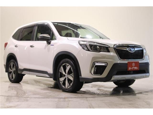 フォレスター(新潟県新潟市東区)