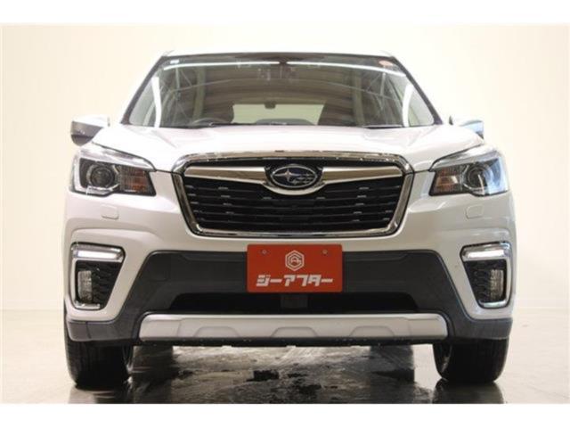 フォレスター(新潟県新潟市東区)