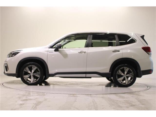 フォレスター(新潟県新潟市東区)