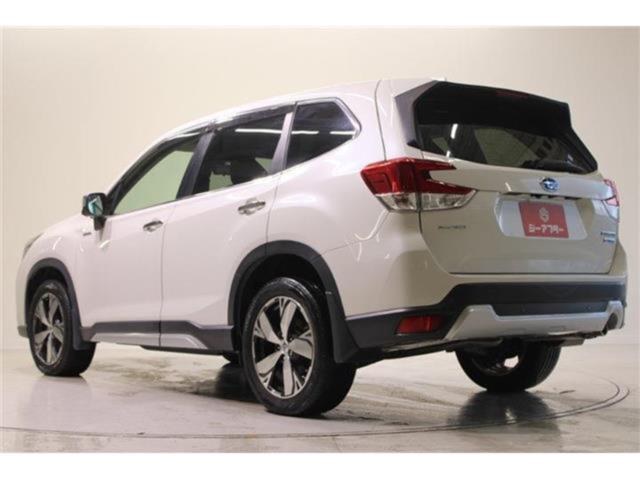 フォレスター(新潟県新潟市東区)