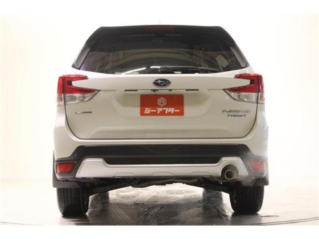 フォレスター(新潟県新潟市東区)