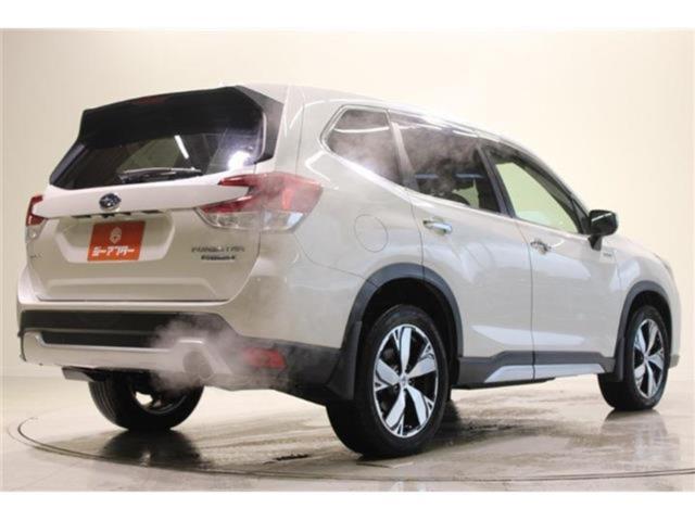 フォレスター(新潟県新潟市東区)