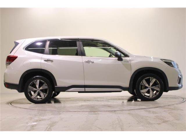 フォレスター(新潟県新潟市東区)