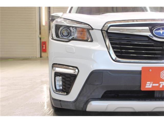 フォレスター(新潟県新潟市東区)