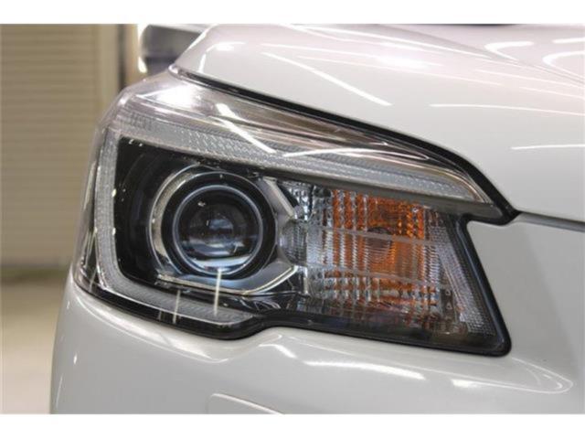 フォレスター(新潟県新潟市東区)