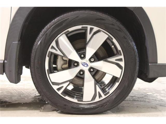 フォレスター(新潟県新潟市東区)