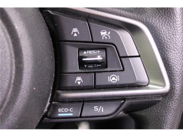 フォレスター(新潟県新潟市東区)