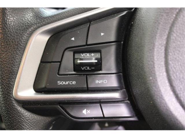 フォレスター(新潟県新潟市東区)