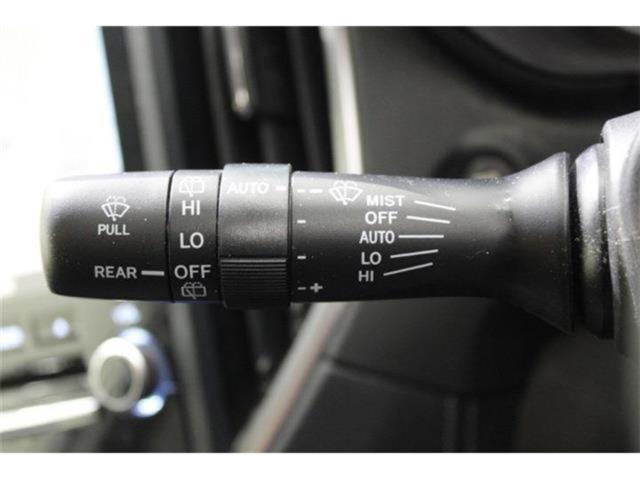 フォレスター(新潟県新潟市東区)