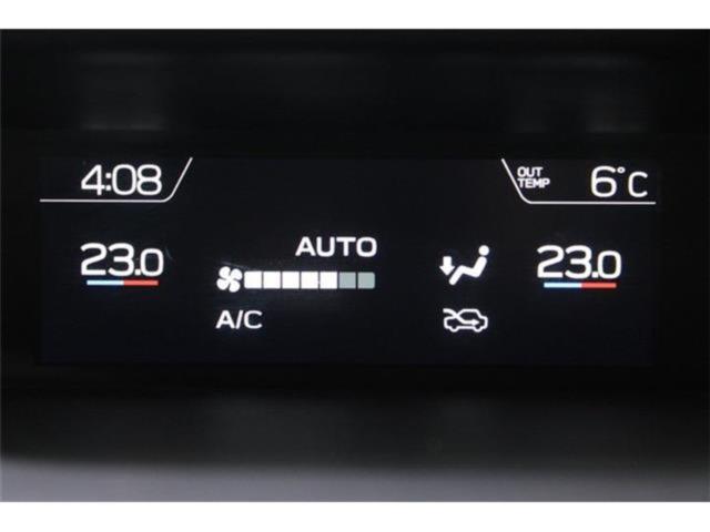 フォレスター(新潟県新潟市東区)