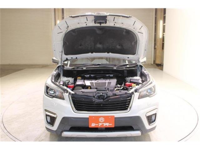 フォレスター(新潟県新潟市東区)