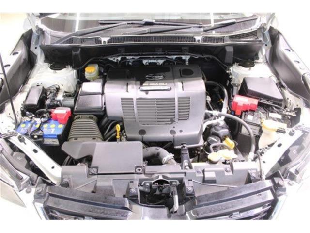 フォレスター(新潟県新潟市東区)