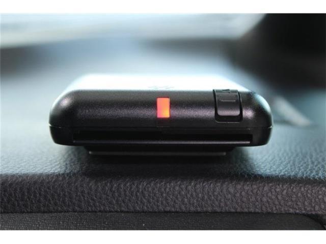 ヴォクシー(新潟県新潟市東区)